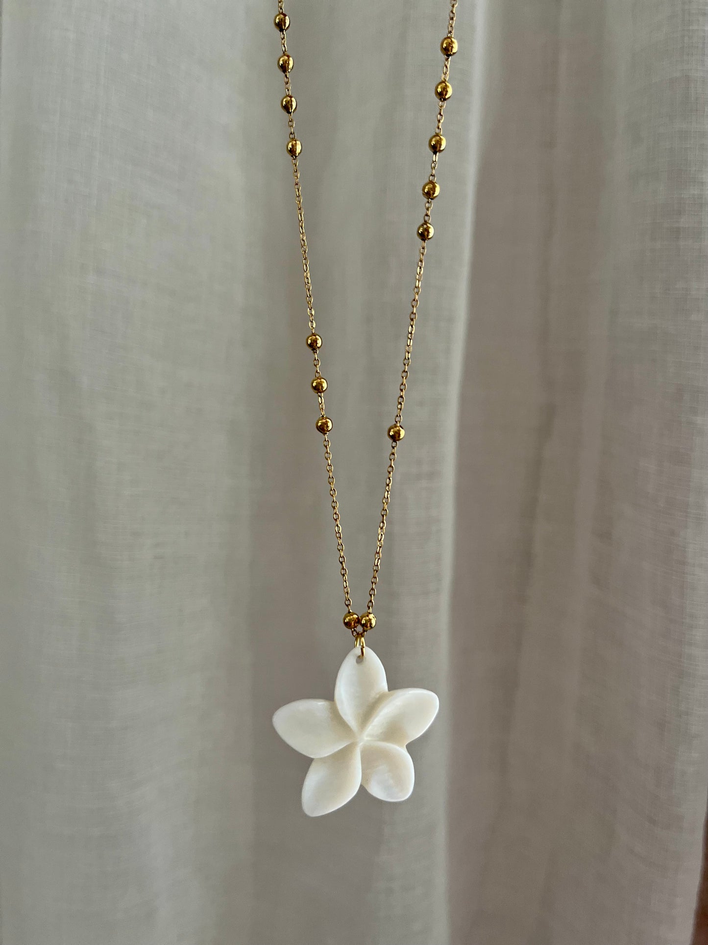 Flora